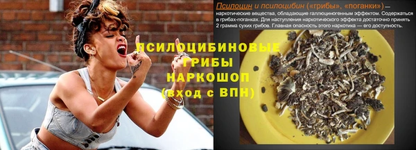 мдма Каменногорск