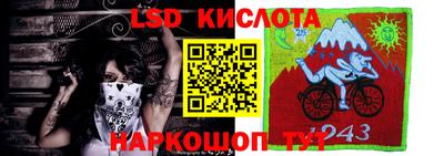 прущие крисы Моздок