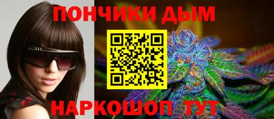 гашик Можга