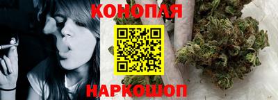 гашик Можга