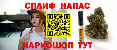 прущие крисы Моздок