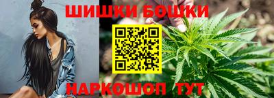 гашик Можга