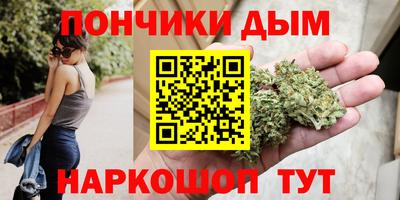 прущие крисы Моздок