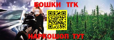 гашик Можга