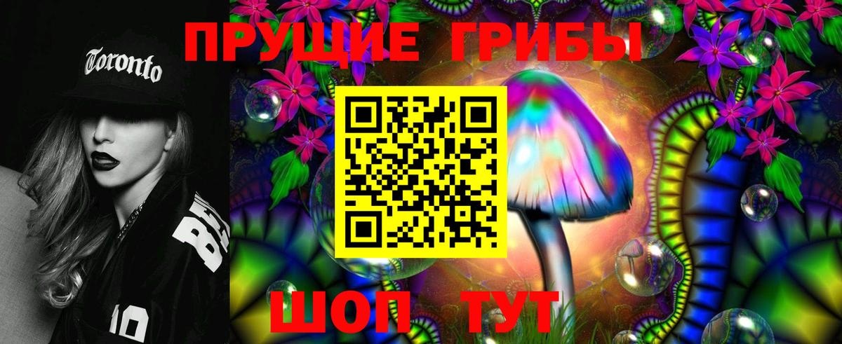 Ярославль  Псилоцибиновые грибы мицелий  Вход с VPN 